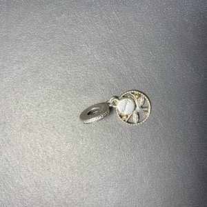 Pandora bracelet charm